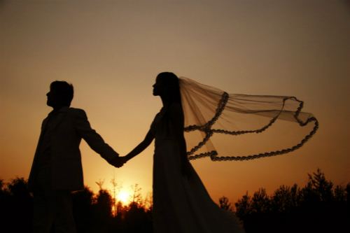 阳光婚恋网 免费相亲网站 相亲网站 阳光婚恋网 免费相亲网站 相亲网站