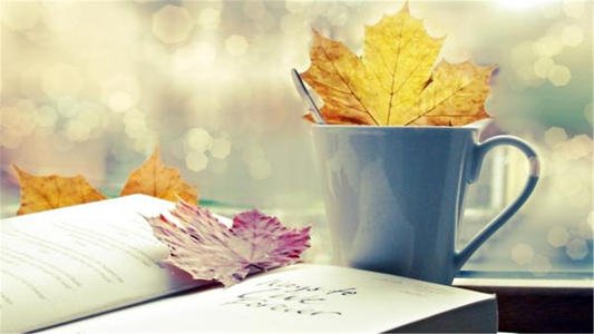 爱情经典语录,爱情经典说说大全,个性感人 爱情经典语录,爱情经典说说大全,个性感人