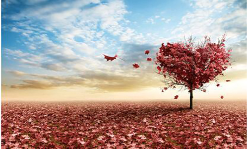 广州市婚恋网-广州市免费征婚-最真实的婚恋交友网站