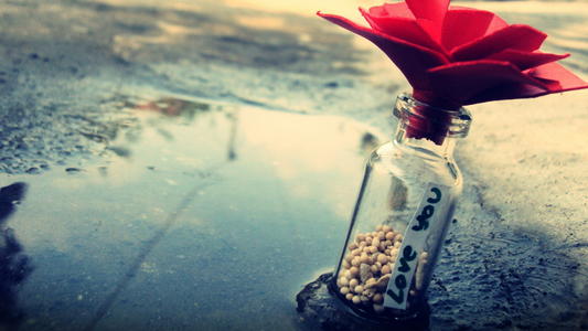 阳光婚恋网，广州免费婚恋网站，足不出户找对象！