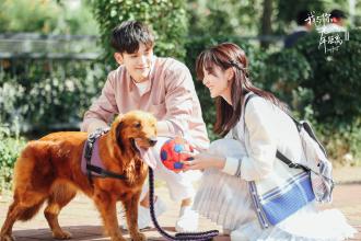 广州有什么相亲网比较靠谱? 广州有什么相亲网比较靠谱?