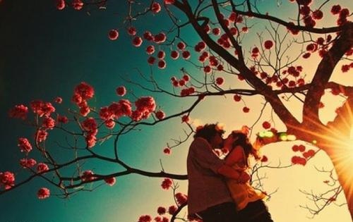 广州本地婚恋网_广州征婚网_广州大型征婚网站