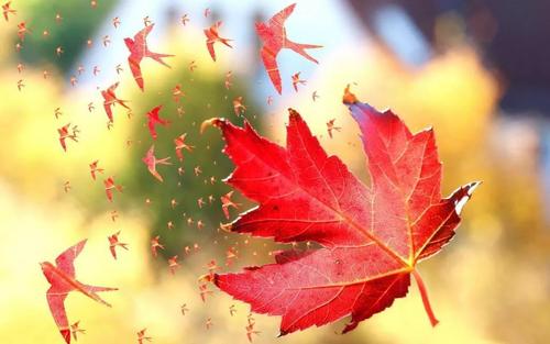 广州单身相亲网_广州征婚交友网站_广州本地婚恋网