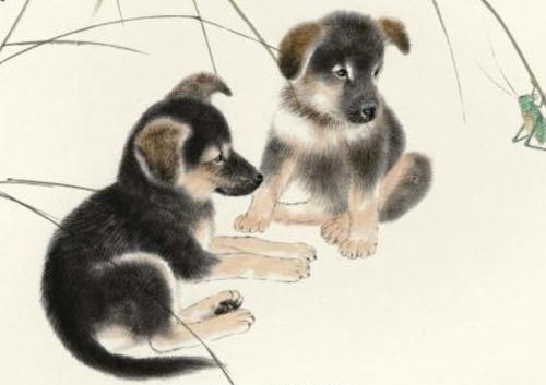 十二生肖爱情配对：属狗的和什么属相最配？