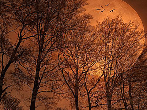 对付第三者最狠的做法，受用终身的做法！