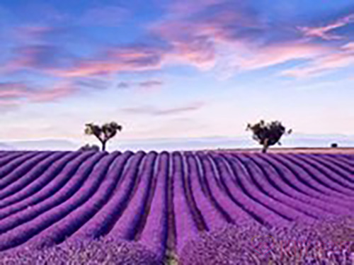 相亲的注意事项 相亲的注意事项