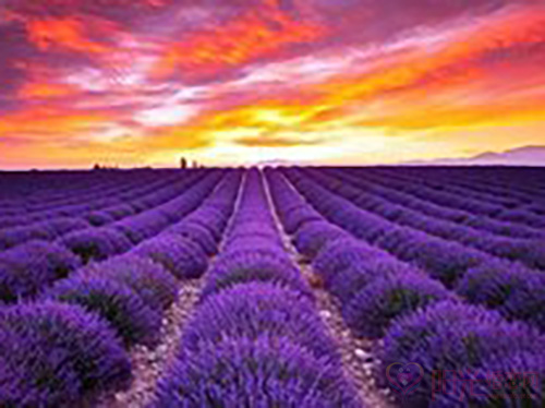 相亲的注意事项 相亲的注意事项