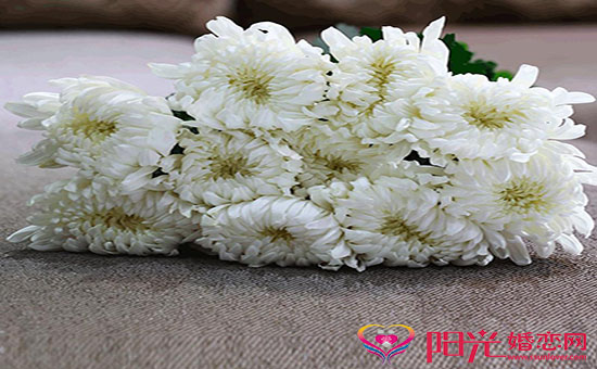 哀悼节哀慰问短信大全 哀悼节哀慰问短信大全