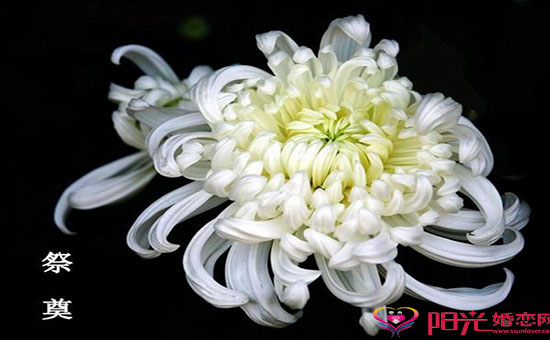 哀悼节哀慰问短信大全 哀悼节哀慰问短信大全