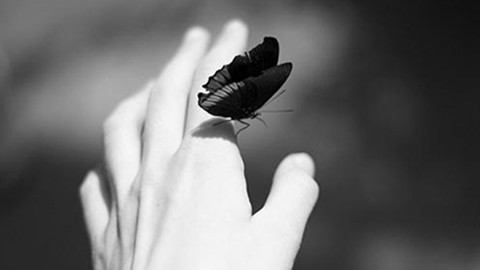 老公出轨了怎么挽回？其实你们之间还是有爱的