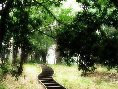 男人容易爱上哪种小三，看外表还是内涵？