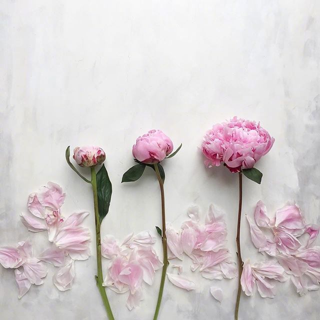 怎么用情话表白喜欢的人（很甜很撩没有之一）