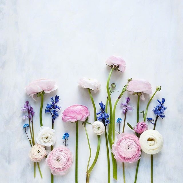 怎么用情话表白喜欢的人（很甜很撩没有之一）