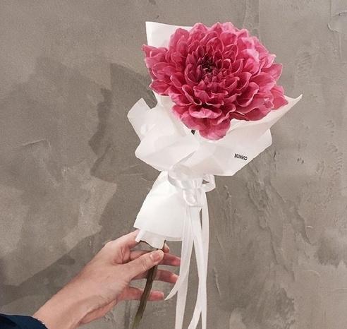 高情商撩女朋友的情话（浪漫暖心唯美煽情）