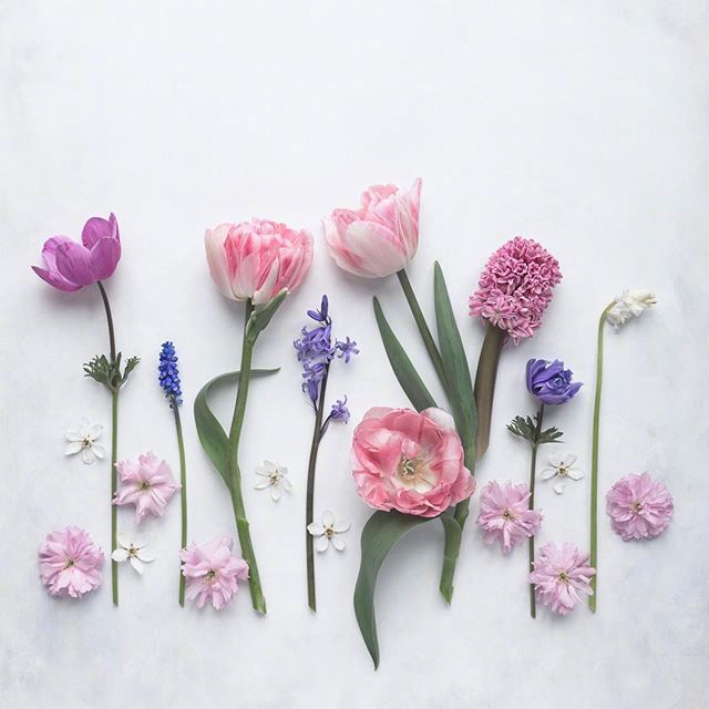 怎么用情话表白喜欢的人（很甜很撩没有之一）