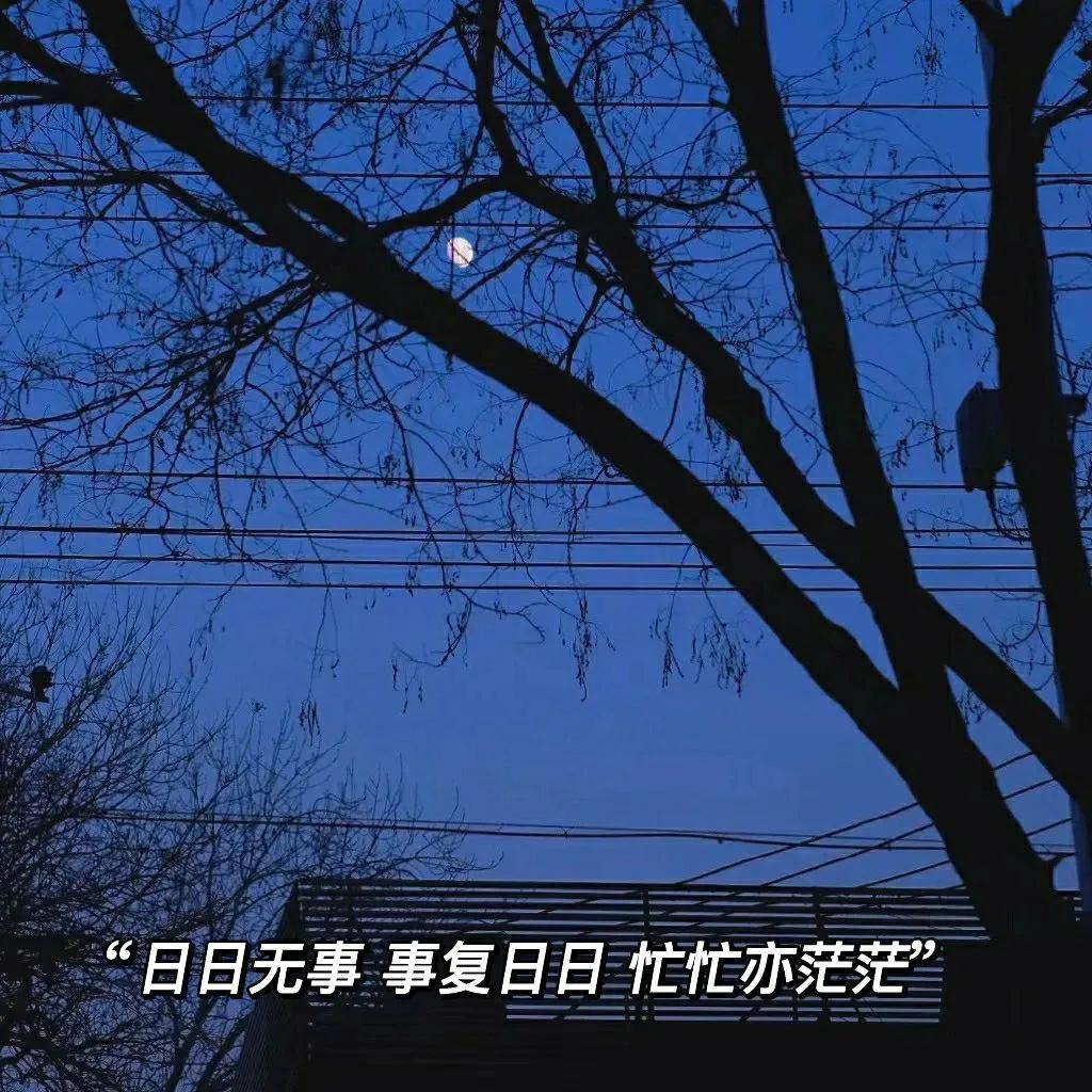 白羊座男生喜欢一个人的迹象（变得爱吃醋了）