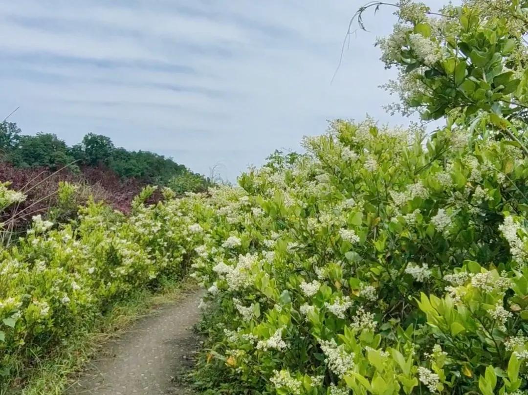 刚开始谈恋爱怎么相处（值得参考的4点）