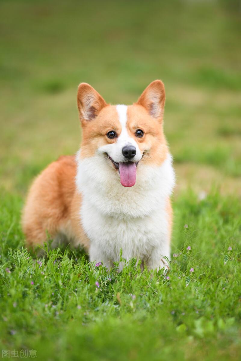 如何与相亲认识的女生聊天（6步教你和相亲美女聊天）