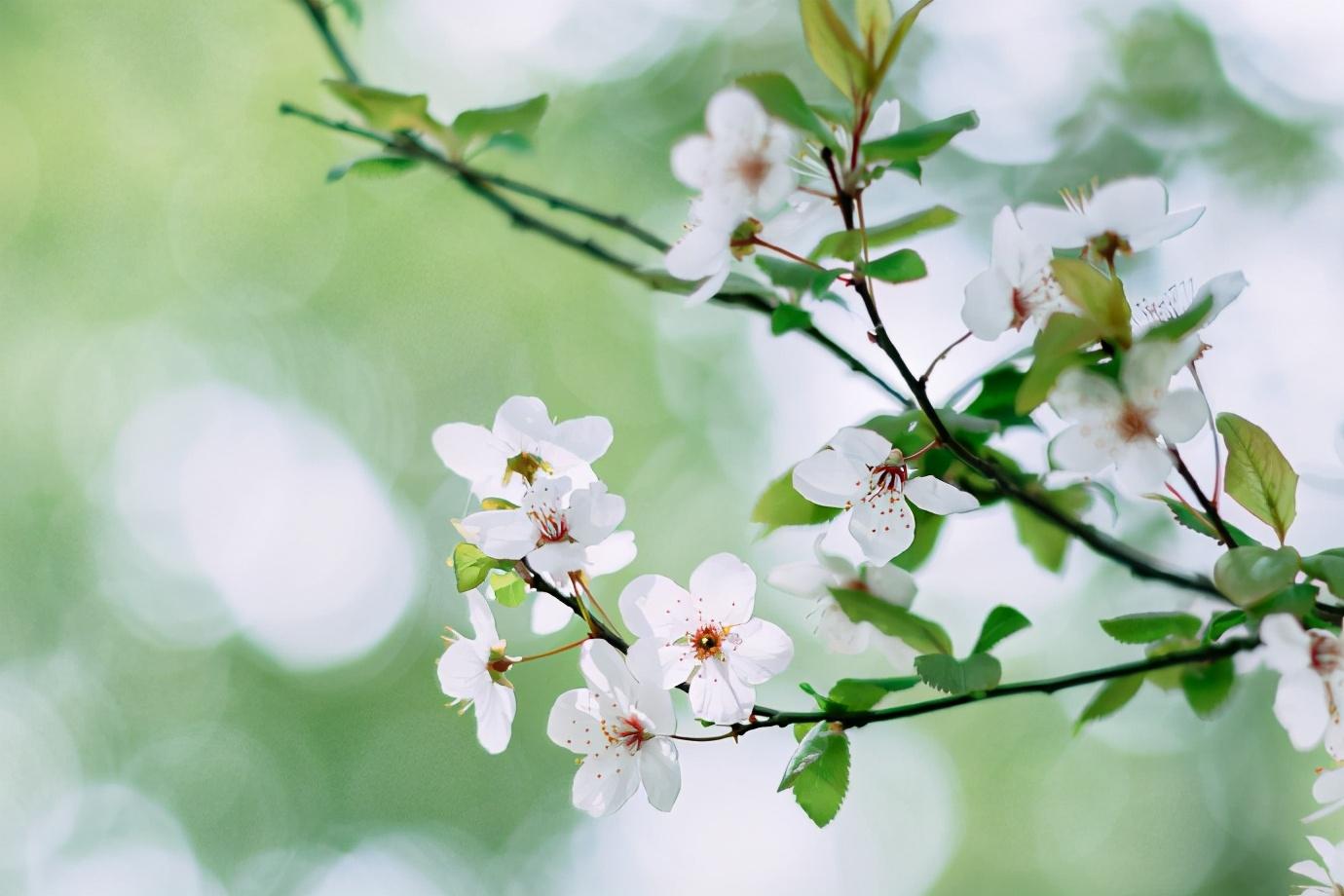 怎么撩狮子座（撩狮子座的套路是什么）