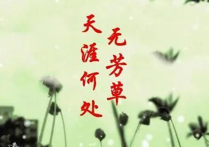 怎样才能不被感情所伤（不想被感情所伤的方法）