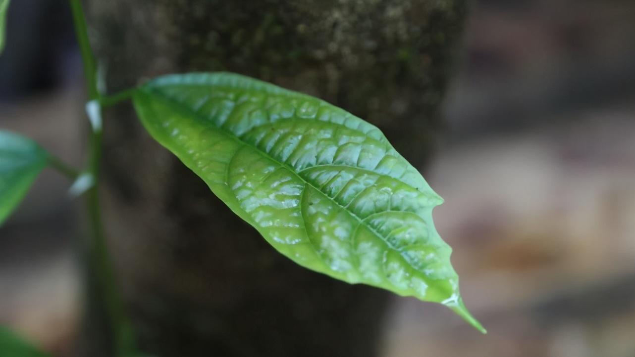 怎么才能追到摩羯座女生（珍贵的爱情总是很打动人心）