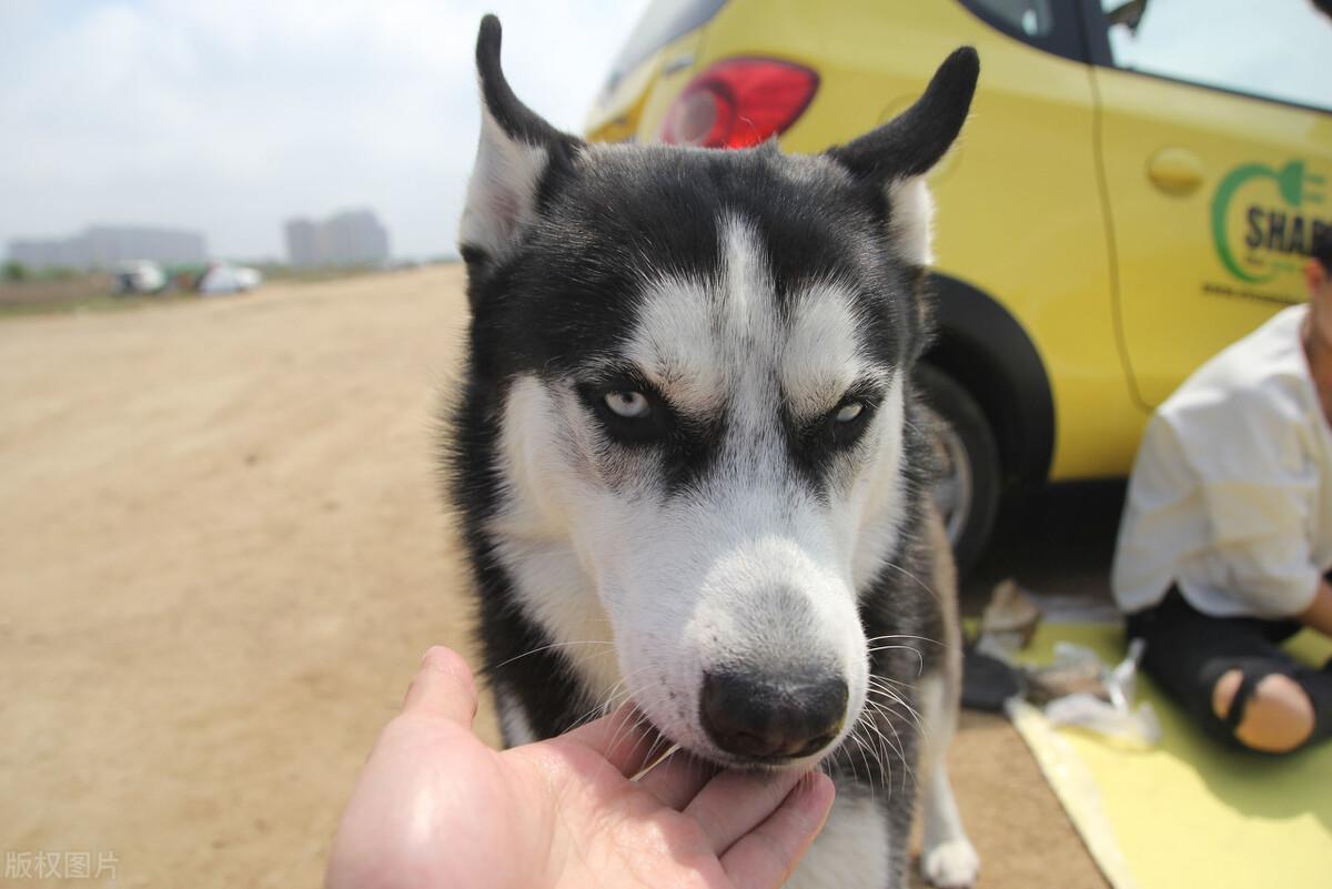 女神节和女朋友怎么过（请女神吃饭应该注意什么）