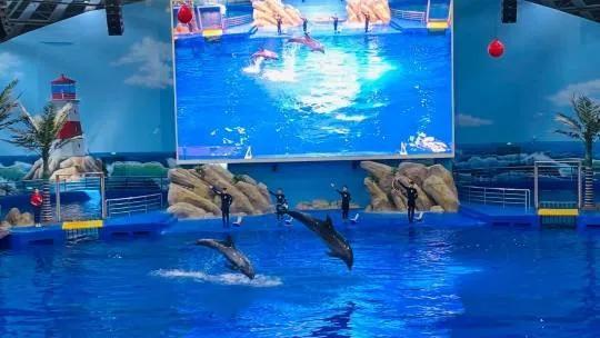 怎么陪女朋友过女神节（做好其中一点就可以了）