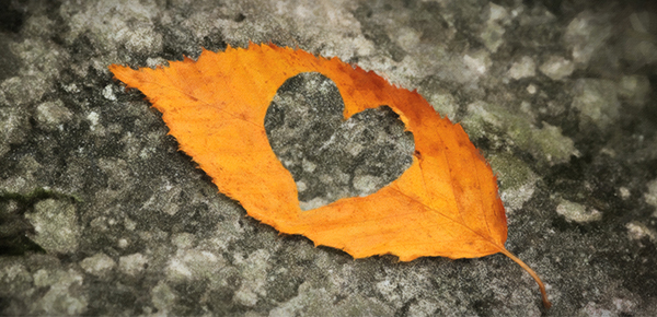 男生一直不谈恋爱正常吗